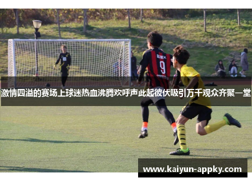 激情四溢的赛场上球迷热血沸腾欢呼声此起彼伏吸引万千观众齐聚一堂