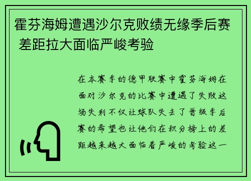 霍芬海姆遭遇沙尔克败绩无缘季后赛 差距拉大面临严峻考验
