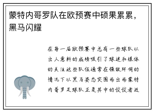 蒙特内哥罗队在欧预赛中硕果累累，黑马闪耀